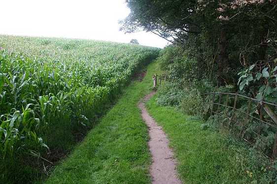 The Lords Garden on The Hill